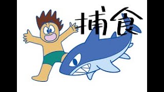 【危険】ハロルド、サメと結婚する
