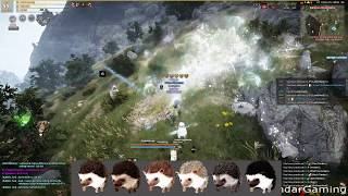 Is the Hedgehog pet worth Prolly. Incendar reports you decide! Black Desert Online BDO
