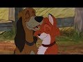 What If Tod Don T Meets Vixie Fox And The Hound AU