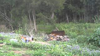 preview picture of video 'Wallaby Rocks Campsite cleanup -- controlled disposal part the first'