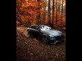Rauf Faik Remix Forsaj