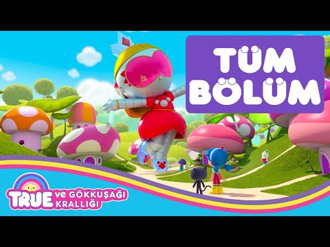 Prenses Grizbot - TÜM BÖLÜM - True ve Gökkuşağı Krallığı 🌈  Çizgi Film - Cartoon Network
