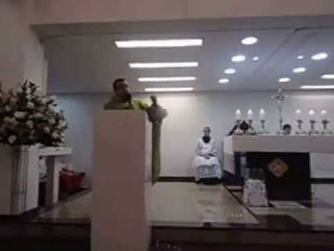 Homilia Pe  Flavio 14º Domingo do Tempo Comum 06/07/2014