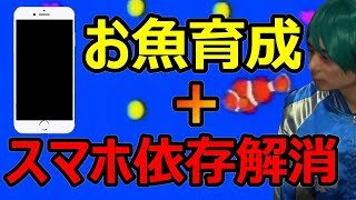 【スマホ依存解消アプリ】お魚育成ゲームなのに「集中する時間」を作り出せる驚きの仕組みとは！？（スマやめ）