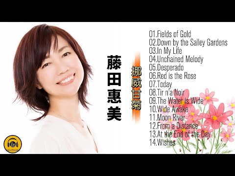 【发烧女声】藤田惠美《挪威甘菊》，她的歌声温柔且充满透明感！