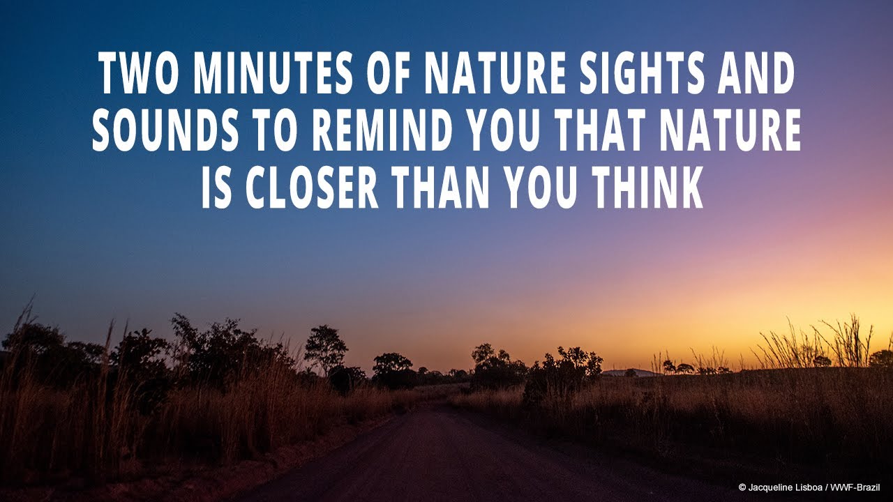 Two minutes of nature sights and sounds that are closer than you think
