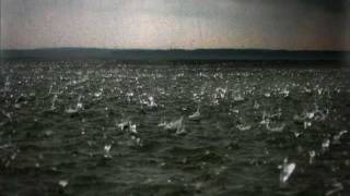 How It Ends by DeVotchKa CUT VERSION