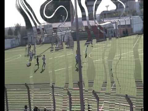 romito daniele levante azzurro - liberty bari all. reg.