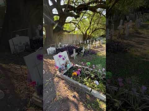 Recorrida , cementerio santo tomé- Santa Fe 🪦🕯️
