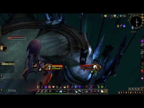 Rogue vs Elder Longbranch in Torghast 5th wing.