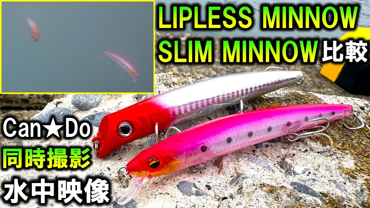 水中映像【キャンドゥ ミノー】200円ミノーのアクション比較！シーバスが釣れるのはどっちだ？Can★Do リップレスミノー VS スリムミノー
