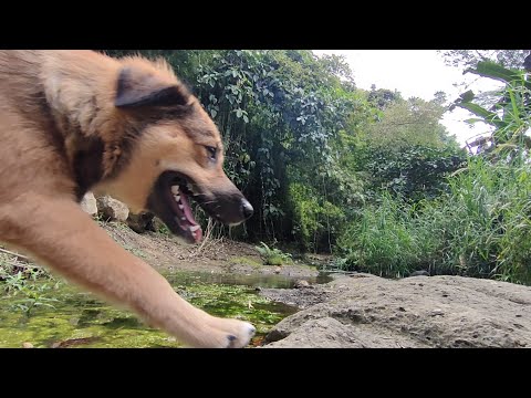 WALKING IN RIVERSIDE