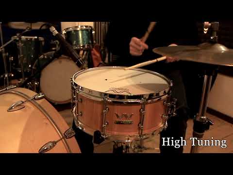 WAMBOOKA SNARE - SUNSET BOULEVARD - ASH 1455 - HIGH TUNING