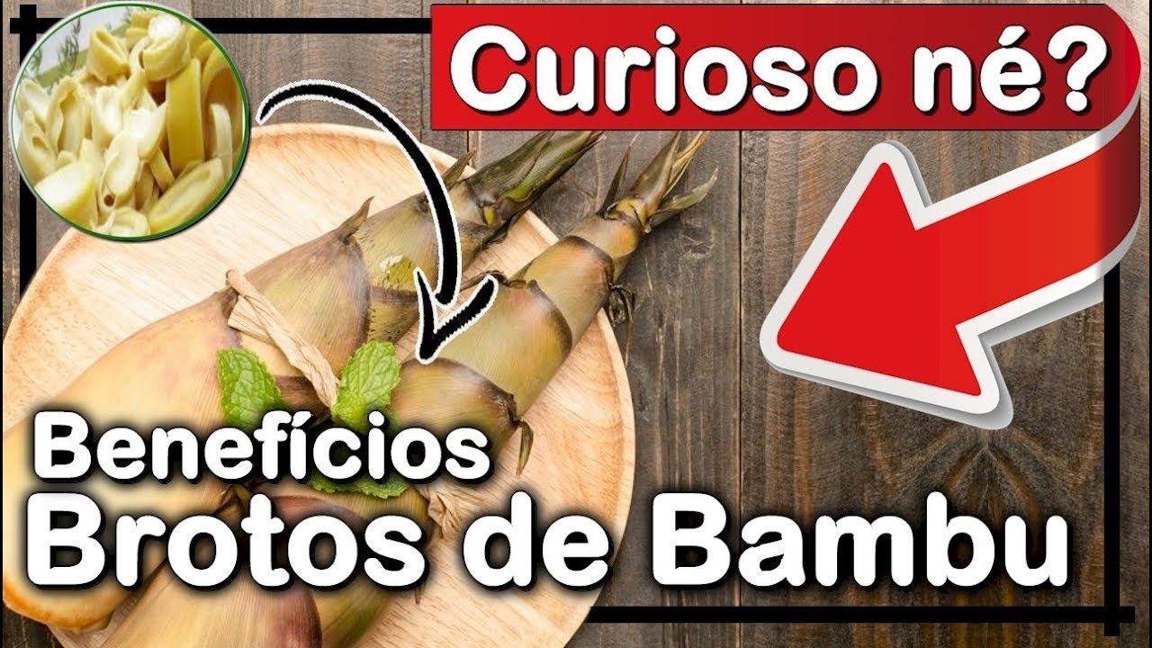 Watch Now → Os 15 Benefícios dos Brotos de Bambu Para Saúde → Os 15 Benefícios dos Brotos de Bambu Para Saúde
