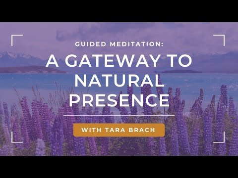 Guided Meditation: Awakening Natural Presence & Spacious Awareness with Tara Brach