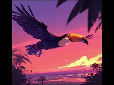 toucan exotique (slowed) · vdycd 1 hour