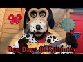 Chuck E Cheese S Rockford IL Dog Days Of Summer