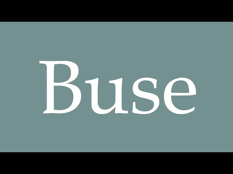 How to Pronounce ''Buse'' Correctly in French
