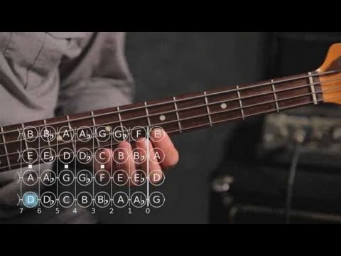 How to Play a D Minor Scale | Bass Guitar