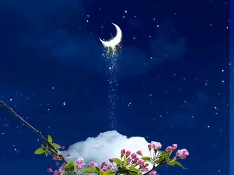 Siberian heat 💕 Magic blue eyes 💙🎶💕euro 80s 🎶🎵💗(Mix Music)💙💙💙