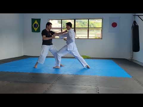Treino de Jiyu Ippon (1) Hudson vs Igor