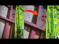 This Woman Was Spied On By A Ghost From The Window While She Was Sleeping Alone In Her Room