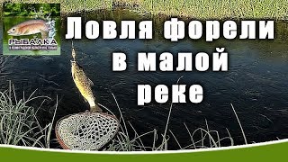 Рыбацкий календарь клева в ленинградской области