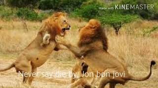 Never say die Jon bon jovi