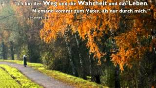 Gieb mir ein ungeteiltes Herz.... ( Sara Lorenz - Bohlen )