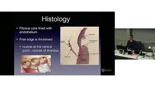 Surgical Anatomy of the Aortic Valve & Aortic Root – Dr Levi Bassin