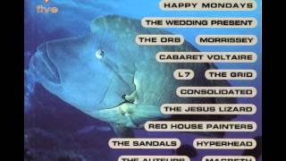 Volume Five - Happy Mondays - Monkey InThe Family