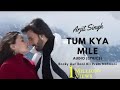 Tum Kya Mile Song Status Rocky Aur Rani Kii Prem Kahaani Ranveer Alia Pritam Amitabh Arijit