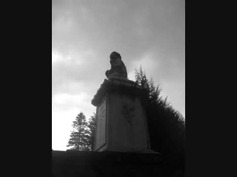 Cementerio - Diana Franco