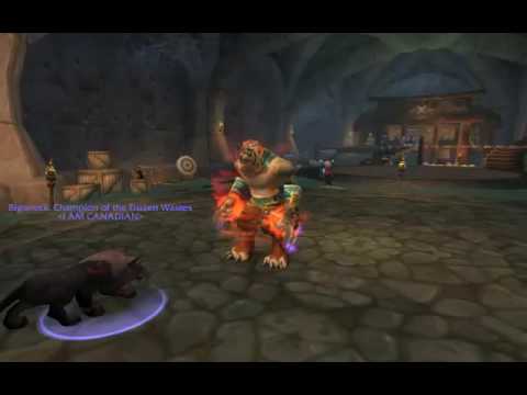 Brassards en cuir clouté - Objet - World of Warcraft Classic