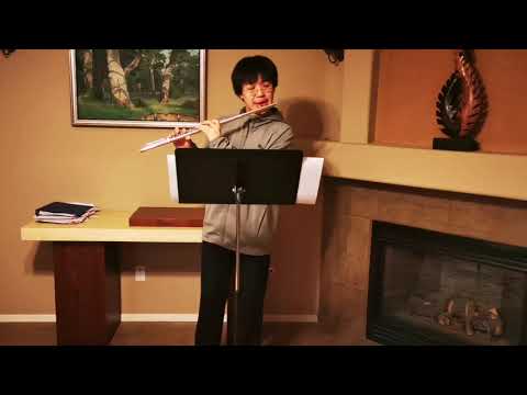 Paganini Caprice 24 on Flute (re-recorded)