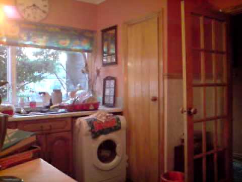 hardcore ravers, cheesy quavers x