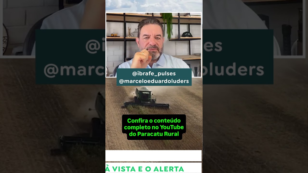 Feijão Vai Subir mesmo? Nova Onda de Compradores à Vista e o Alerta ao Produtor.