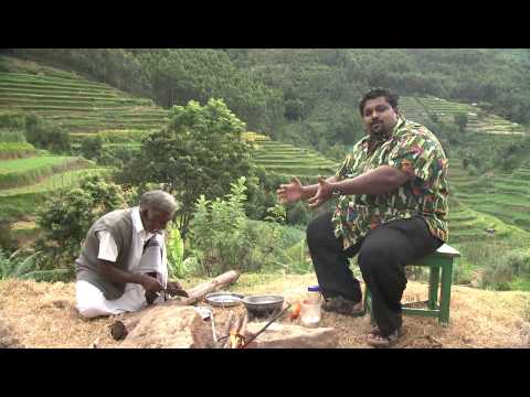 Thani Nadan I Ep 37 Part 2 - Beens thoran recipe I Mazhavil Manorama