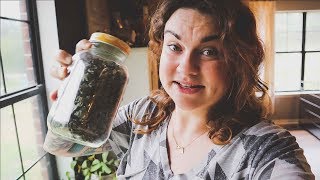 Making Lemon Balm Syrup and Sowing Willy Nilly | VLOG | Roots and Refuge Farm