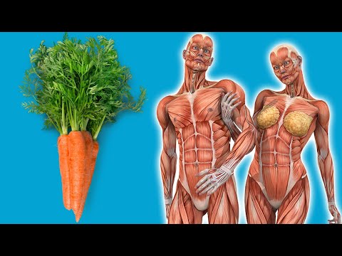 DAS passiert WIRKLICH mit deinem Körper, wenn du jeden Tag Karotten isst 💥 (unglaublich) ⚡️