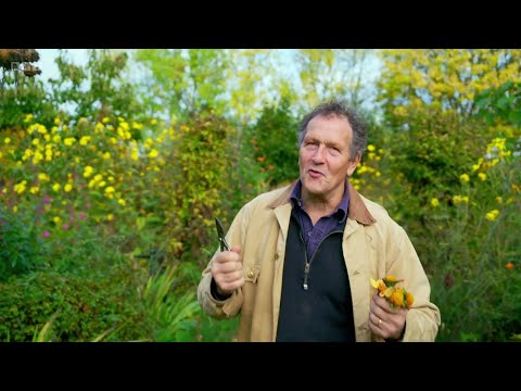 Gardeners' World 2025🍀Episode 32