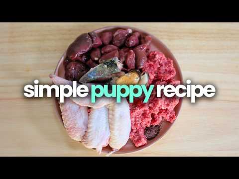 Nutritious Raw Puppy Recipe