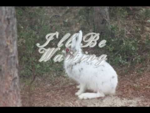 I'll Be Waiting feat  Bonnie Rabson