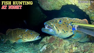 Download lagu EPS 173 NIGHT SPEARFISHING | FISH HUNTING AT NIGHT mp3