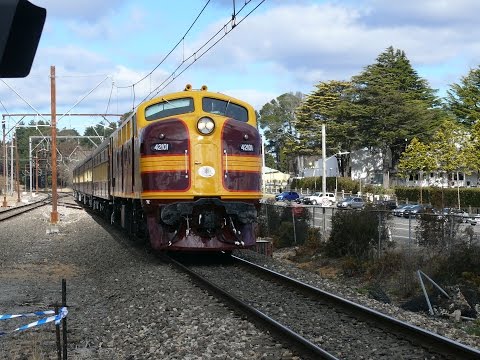 42101 at Medlow Bath 6-08-15