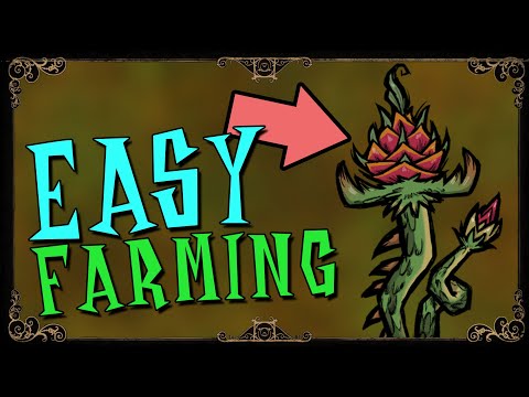 EASIEST WAY TO USE FARM PLOTS | Reap What you Sow Don't Starve Together Guide