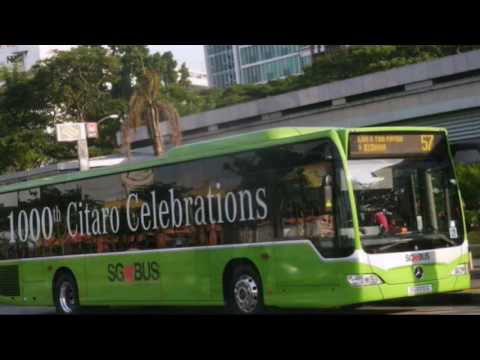 Singapore Buses Photo Showcase 2016