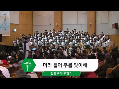 [24.12.25]  할렐루야 찬양대 - 머리 들어 주를 맞이해 대표이미지