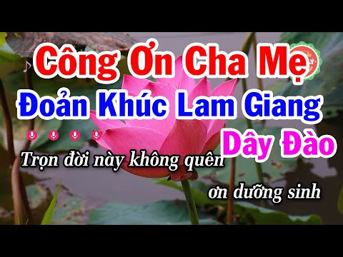 Karaoke Đoản Khúc Lam Giang Dây Đào | Công Ơn Cha Mẹ | Điệu Lý Cải Lương Hay