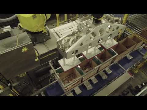 AMF Workhorse Pan Handling and Post-Packaging Automation